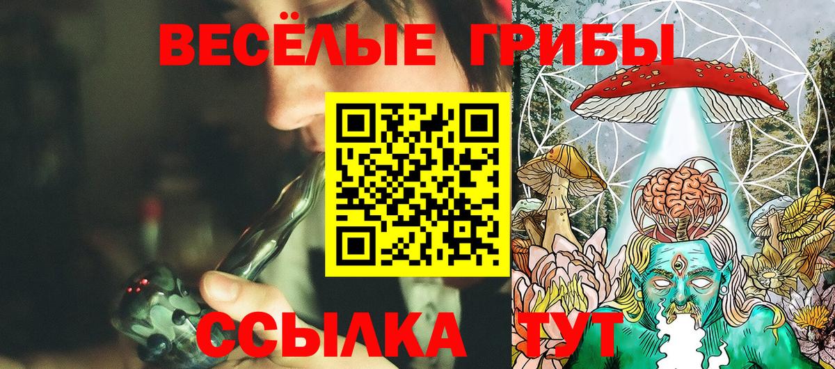 Бугуруслан  Галлюциногенные грибы GOLDEN TEACHER  Вход с VPN 